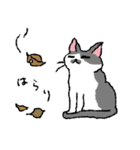 オノマトペとニャン語の猫たち（個別スタンプ：10）