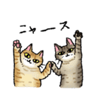 オノマトペとニャン語の猫たち（個別スタンプ：39）