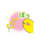 動く！インコ（個別スタンプ：1）