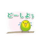 動く！インコ（個別スタンプ：3）