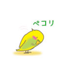 動く！インコ（個別スタンプ：4）