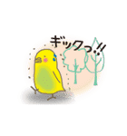 動く！インコ（個別スタンプ：6）