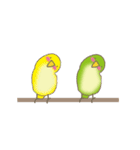 動く！インコ（個別スタンプ：14）