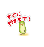 動く！インコ（個別スタンプ：20）