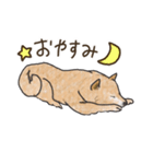 柴犬けんちまん（個別スタンプ：27）