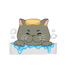 丸メガネちゃんとネコ（個別スタンプ：16）