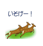鹿だらけ（個別スタンプ：3）