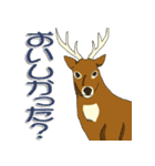 鹿だらけ（個別スタンプ：5）