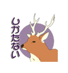 鹿だらけ（個別スタンプ：11）
