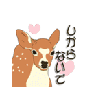 鹿だらけ（個別スタンプ：16）