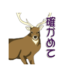 鹿だらけ（個別スタンプ：20）