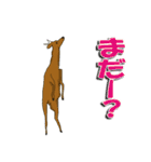 鹿だらけ（個別スタンプ：26）