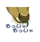 鹿だらけ（個別スタンプ：27）