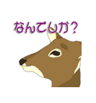 鹿だらけ（個別スタンプ：29）