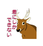 鹿だらけ（個別スタンプ：33）