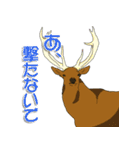 鹿だらけ（個別スタンプ：35）