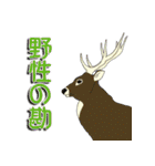 鹿だらけ（個別スタンプ：39）