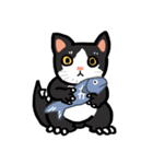 Daily lives of GuzillaMeow（個別スタンプ：1）