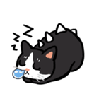 Daily lives of GuzillaMeow（個別スタンプ：5）