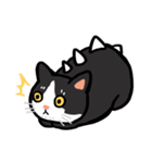 Daily lives of GuzillaMeow（個別スタンプ：6）