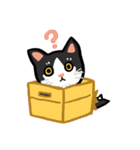 Daily lives of GuzillaMeow（個別スタンプ：7）