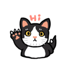 Daily lives of GuzillaMeow（個別スタンプ：12）
