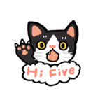Daily lives of GuzillaMeow（個別スタンプ：26）