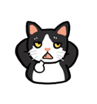 Daily lives of GuzillaMeow（個別スタンプ：35）