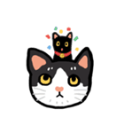 Daily lives of GuzillaMeow（個別スタンプ：39）