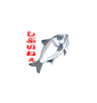 深海スタンプ（個別スタンプ：4）