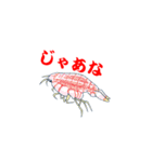 深海スタンプ（個別スタンプ：40）