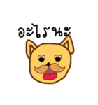 The dog has a mustache2（個別スタンプ：16）