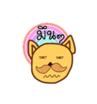 The dog has a mustache2（個別スタンプ：19）