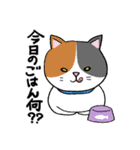 マイペット 犬＆猫（個別スタンプ：9）