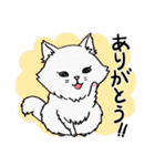 マイペット 犬＆猫（個別スタンプ：18）