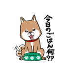 マイペット 犬＆猫（個別スタンプ：29）