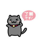 黒にゃんこのよく使う日常会話（個別スタンプ：1）