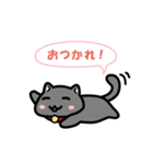 黒にゃんこのよく使う日常会話（個別スタンプ：8）