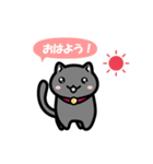 黒にゃんこのよく使う日常会話（個別スタンプ：37）