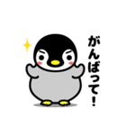 動く可愛い子ペンギン（個別スタンプ：11）