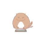 fat Qcat（個別スタンプ：13）