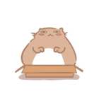 fat Qcat（個別スタンプ：25）