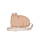 fat Qcat（個別スタンプ：36）