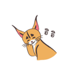 caracal cats（個別スタンプ：7）