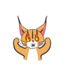 caracal cats（個別スタンプ：11）