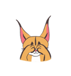 caracal cats（個別スタンプ：13）