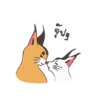 caracal cats（個別スタンプ：22）