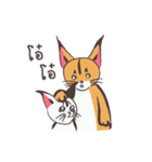 caracal cats（個別スタンプ：31）