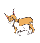 caracal cats（個別スタンプ：36）