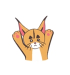 caracal cats（個別スタンプ：37）